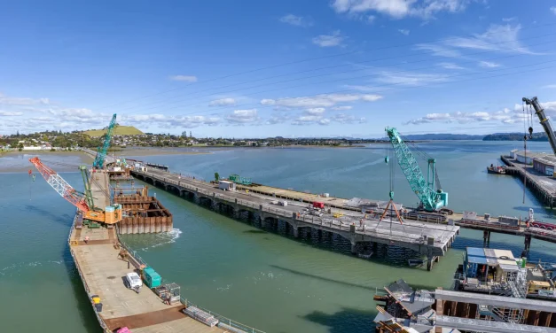 Experts called to deconstruct the Old MAngere Bridge